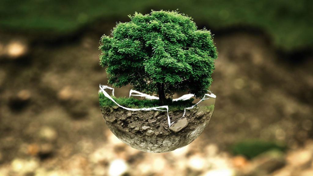 MOOCs for the Environment: Shaping a Sustainable Future