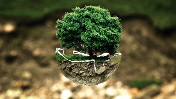 MOOCs for the Environment: Shaping a Sustainable Future