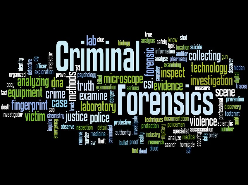 Forensic Psychology Courses