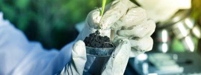 Horticulture Courses