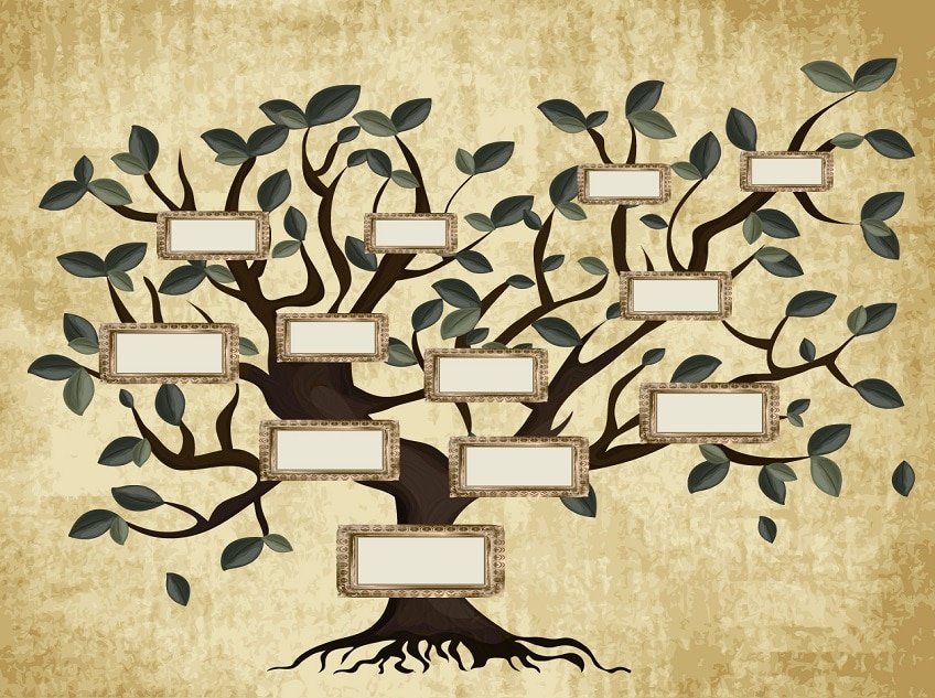 Discover your past with Genealogy Courses