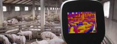 Animal Science Courses and Training