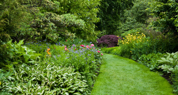 National Botanic Gardens Glasnevin College Careers Day