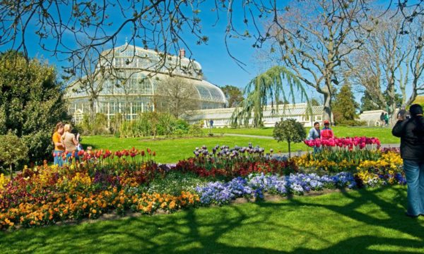 Teagasc Horticulture Education in the National Botanic Gardens in COVID times