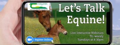 Let’s Talk Equine Webinar