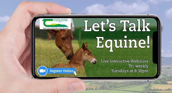 Let’s Talk Equine Webinar