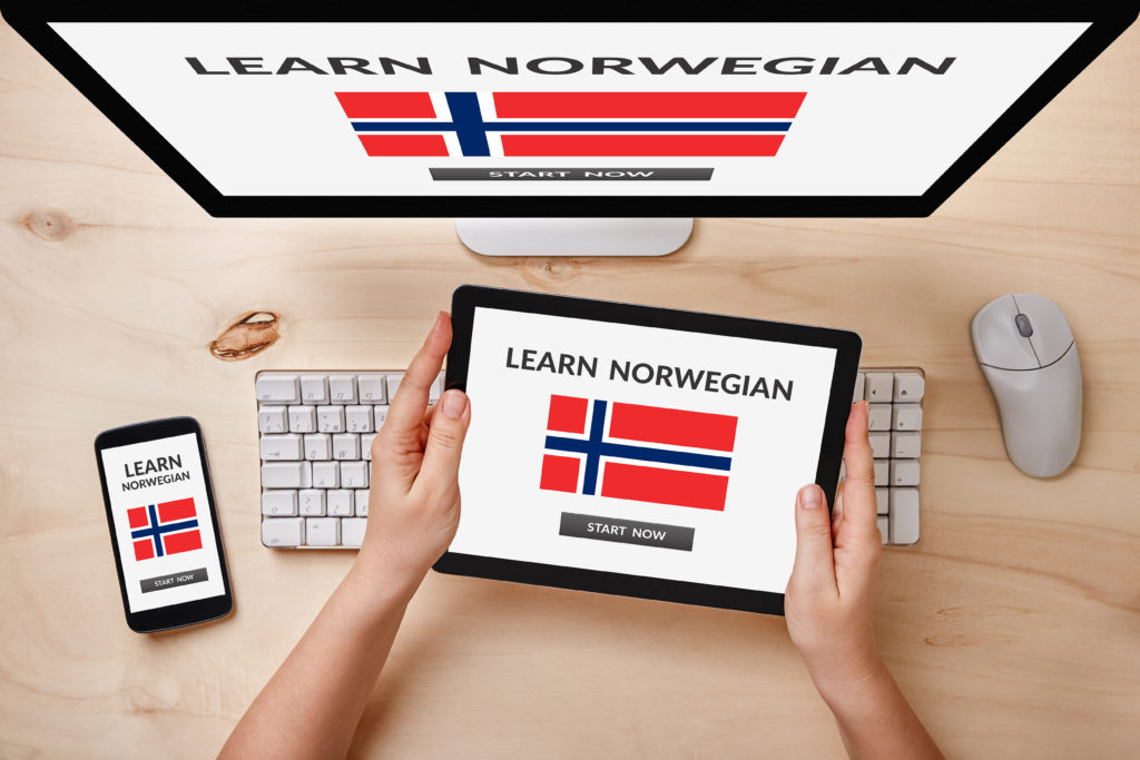 Norweigan Language Courses