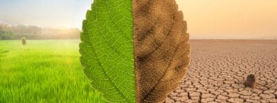 Fight the Power! Climate Change Education