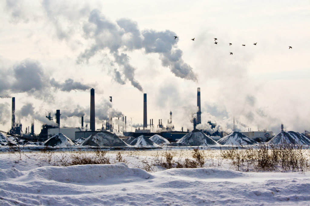 Environmental Science Courses