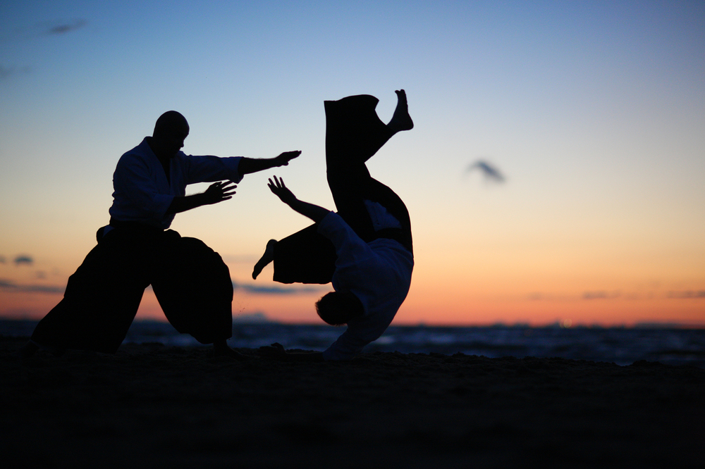 Become An Aikido Master
