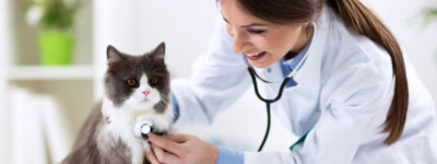 Veterinary and Animal Care Courses