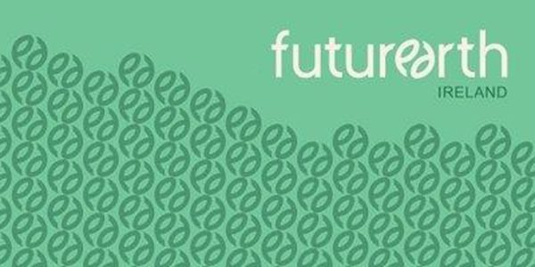 How Can Higher Education ‘Build Forward Better’?