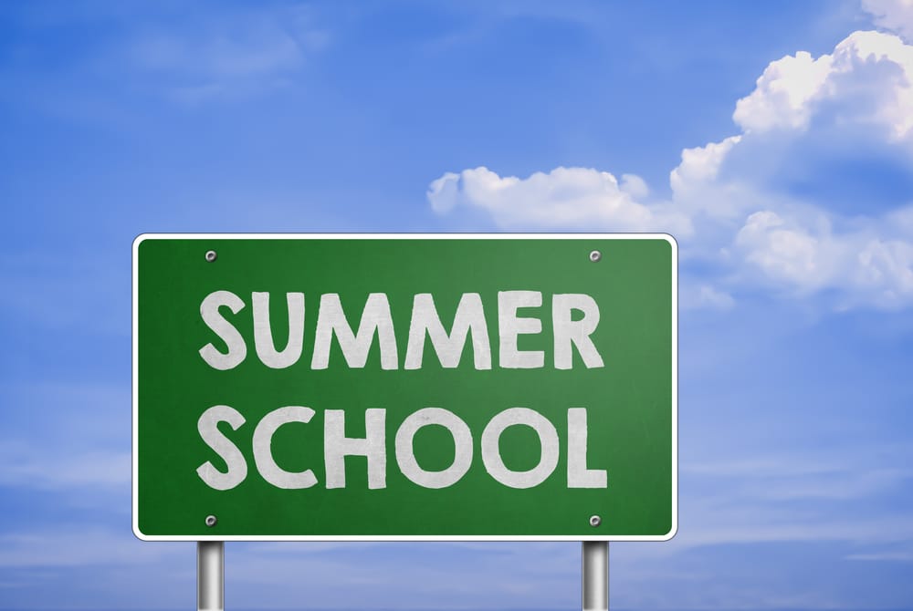 Here Comes the Summer Schools!