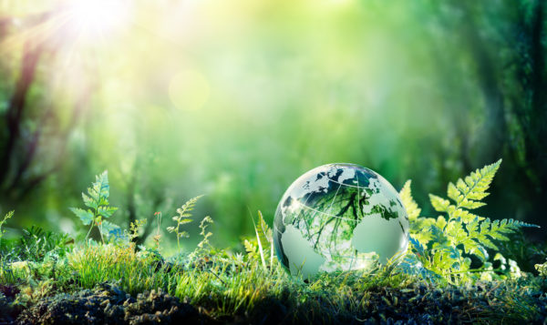 Environmental Law & Climate Change – Shaping a Greener Future at The Law Society