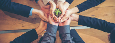 BA (Hons) in Sustainability Management at DBS