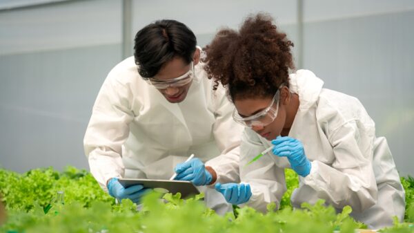 Leaders in their Field: Professor Thia Hennessy, Cork University Business School