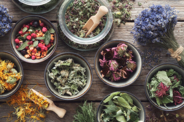 Online – Accredited Foundation Herbalism Diploma Course – Certified
