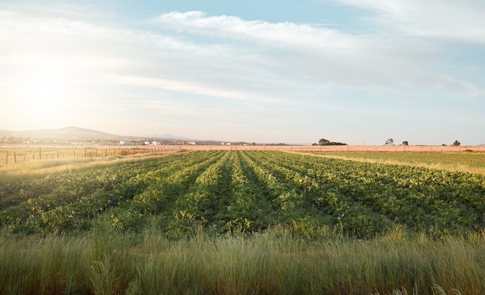 European Commission’s ‘Vision for Agriculture and Food’ Launched