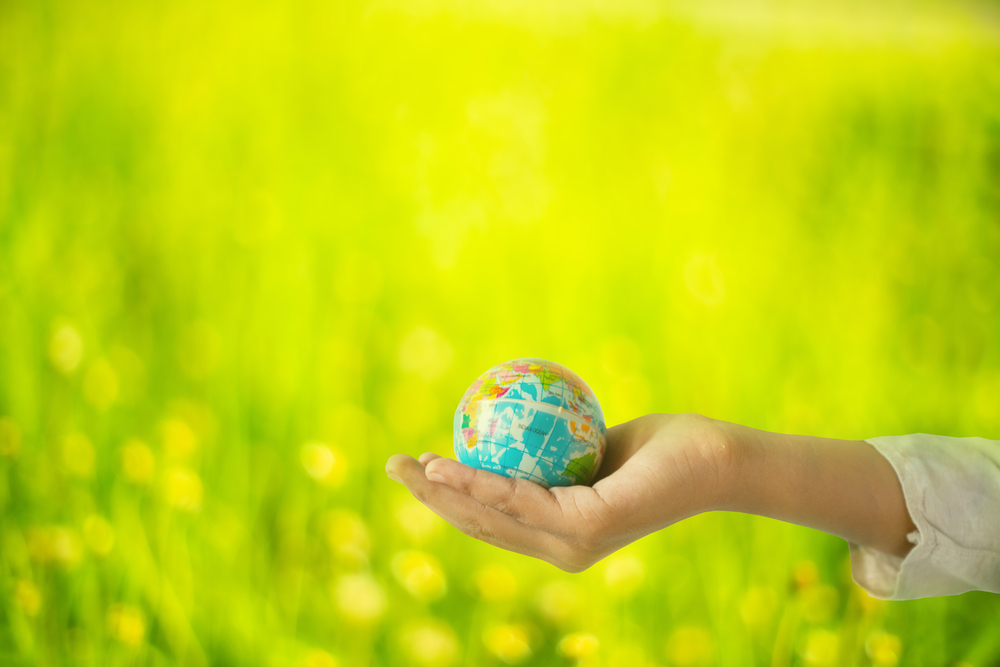 Climate Innovation & Biodiversity at Trinity College Dublin