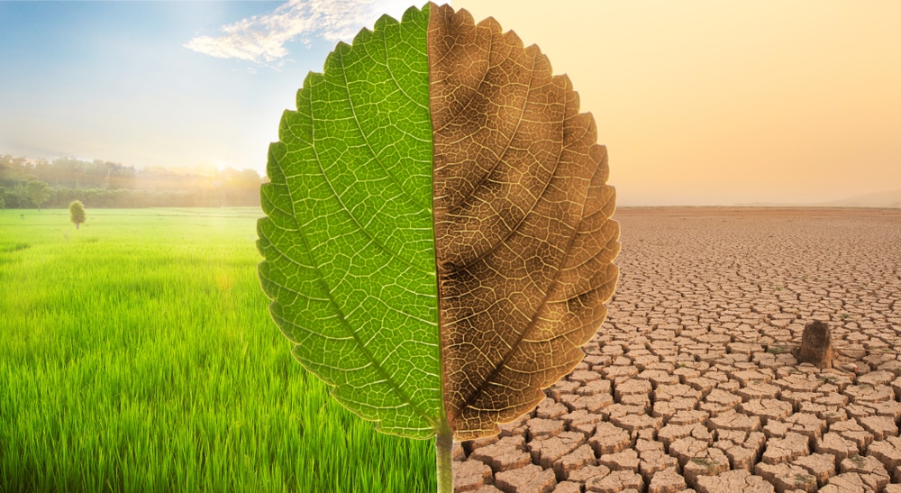 Climate Change Education