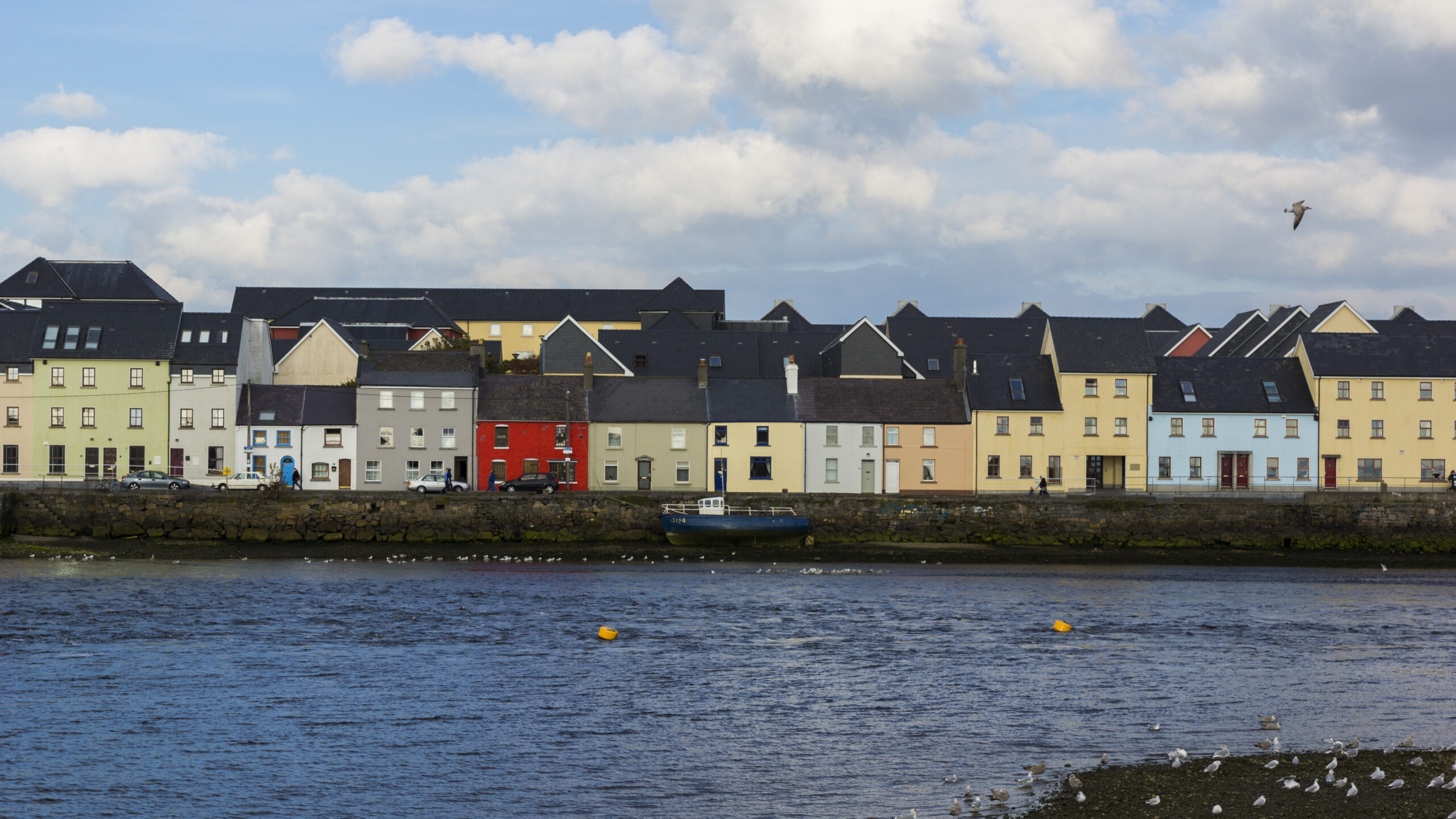 Jobs Expo Galway