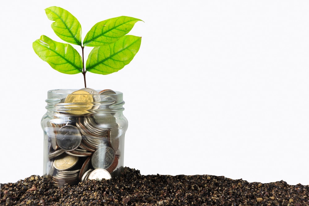 Investment in Education