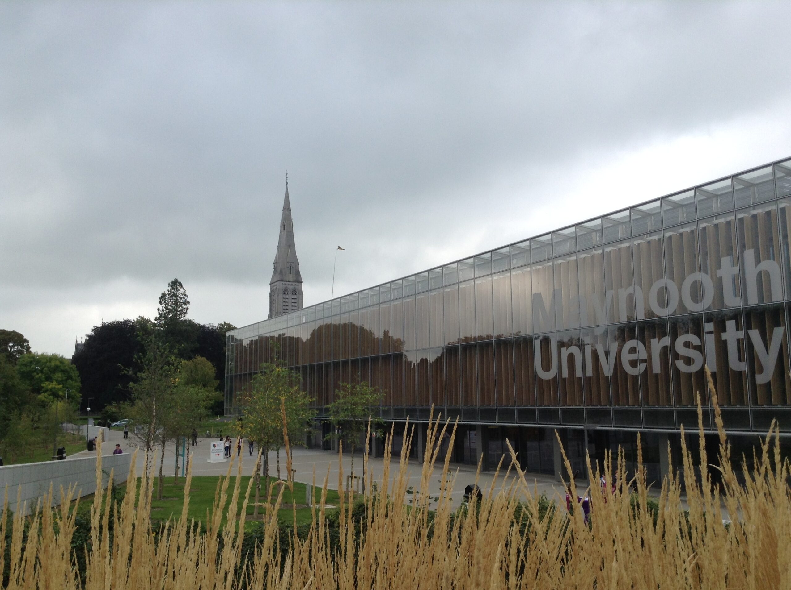 Maynooth University