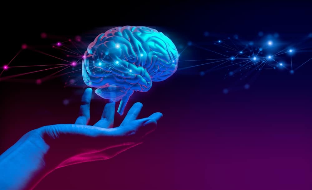 Neuroscience