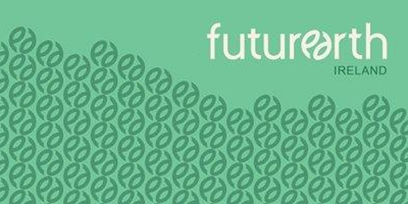 How Can Higher Education ‘Build Forward Better’?